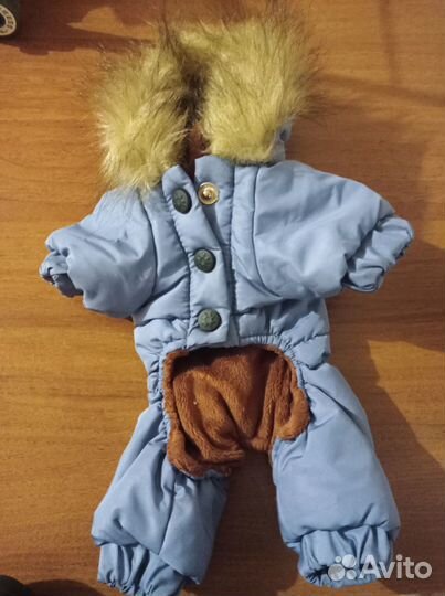 Одежда для маленьких собак xs