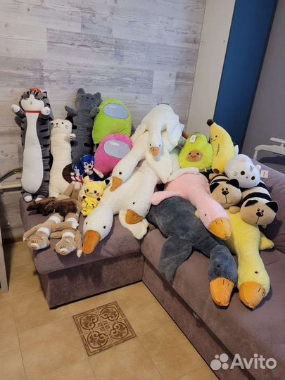 Гусь, коты Батоны, авокадо, пикачу, капибара