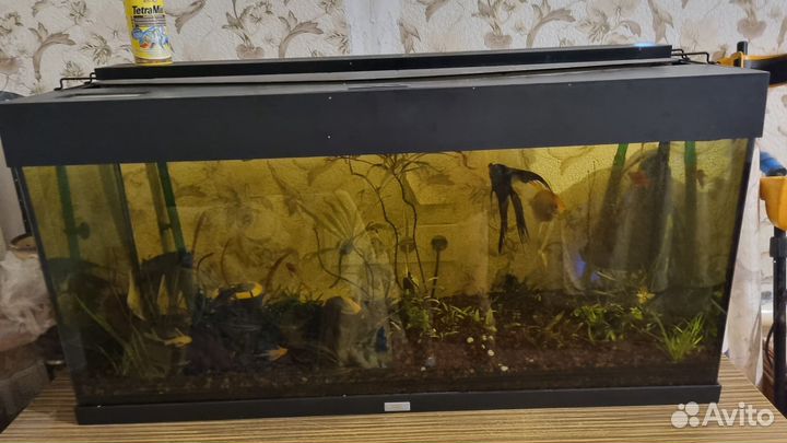 Аквариум