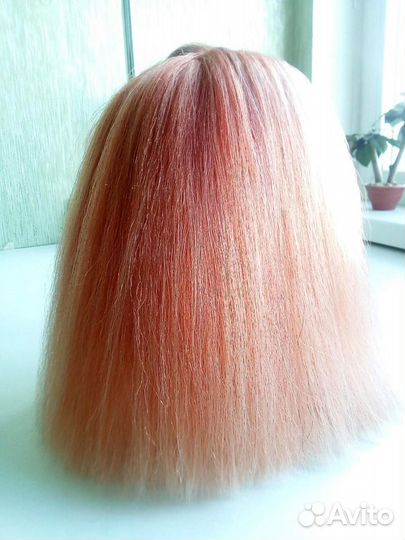 Голова учебная