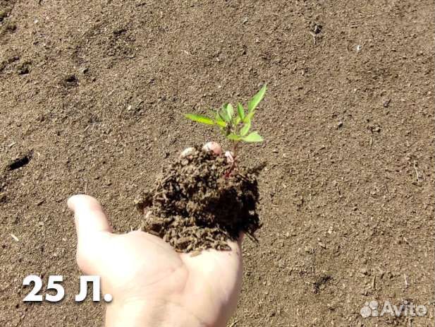 Мешки навоза крс 25 литров