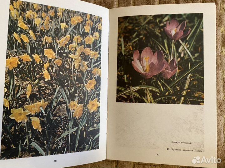 Книги о саде и огороде