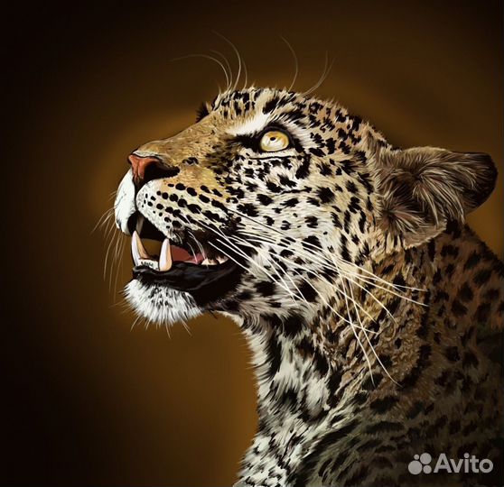 Художник иллюстратор, графический художник