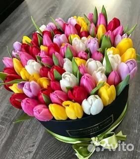 Тюльпаны к 8 марта розница
