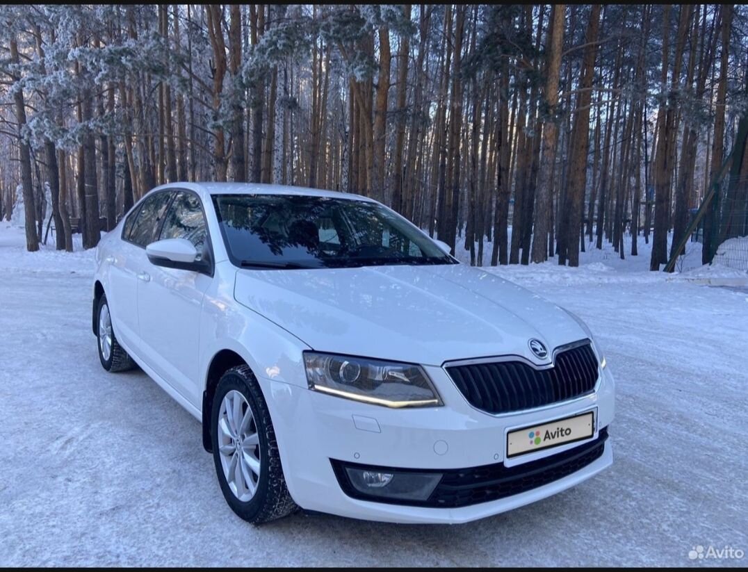 Skoda Octavia: фото владельца