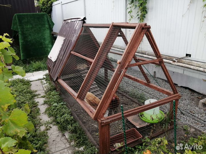 Курятник для кур - мини