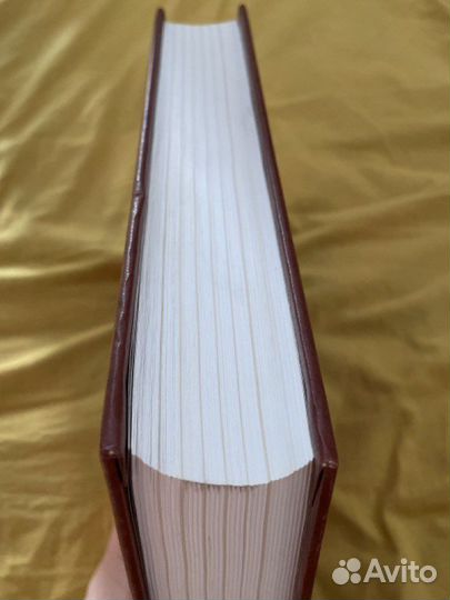 Данте Алигьери 