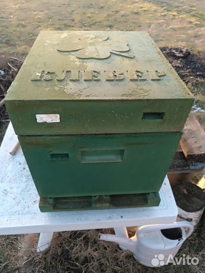 Улей ППУ 10 рамочный дадан