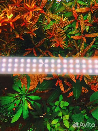 Аквариум 100 литров PRO полный комплект