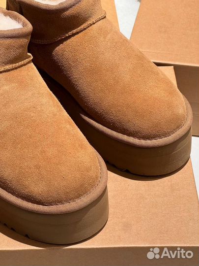 Замшевые Ugg рыжие