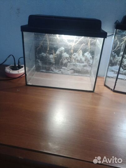 Аквариум