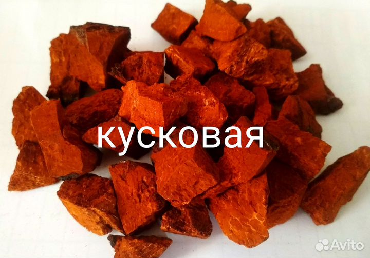 Чага мелкодробленая 1 кг, для чая