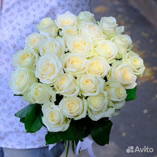 Бюджетные букеты 25 роз 50 см-60 см с доставкой