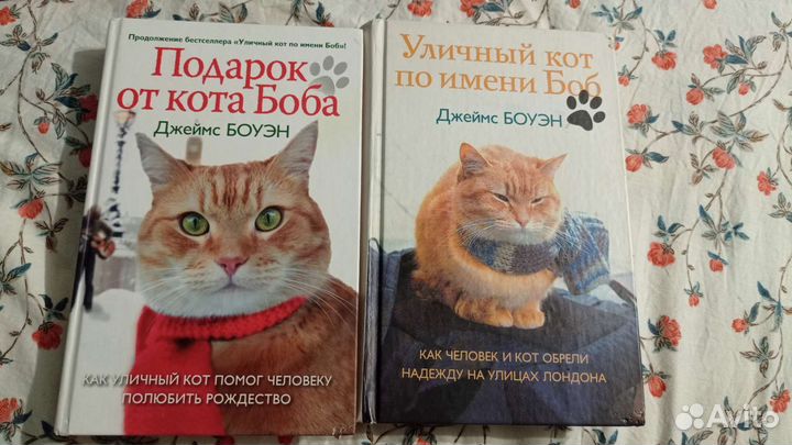 Уличный кот по имени боб