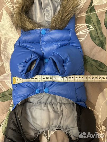 Комбинезон для маленькой собаки кобеля