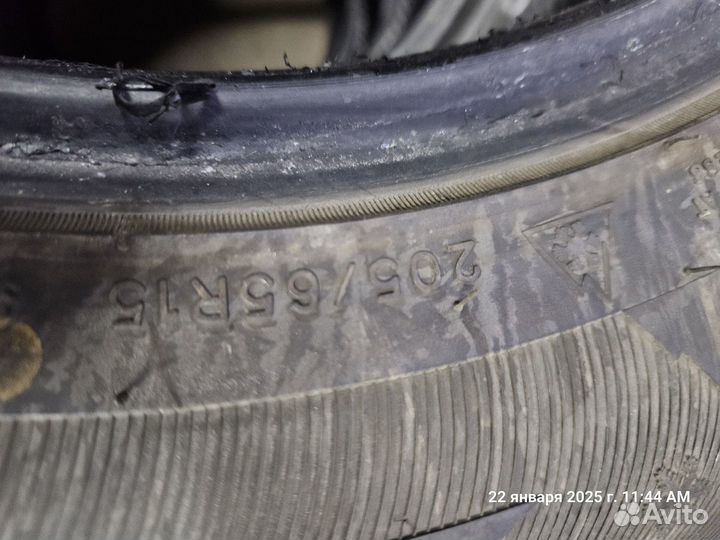 Blacklion Winter Tamer W507 205/65 R15