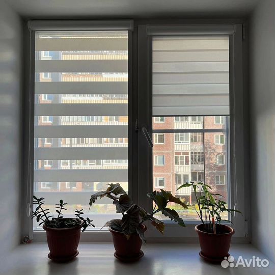 Жалюзи и рулонные шторы