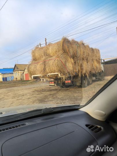 Сено в рулонах