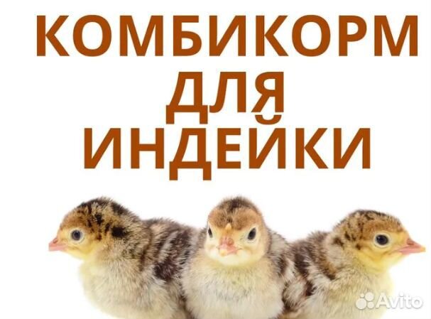 Комбикорм для индейки