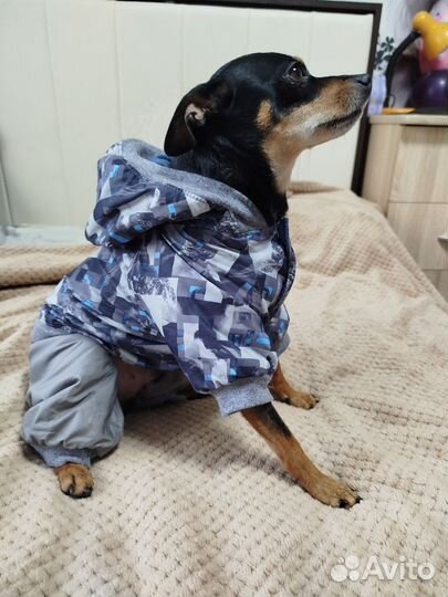 Комбинезон для собаки