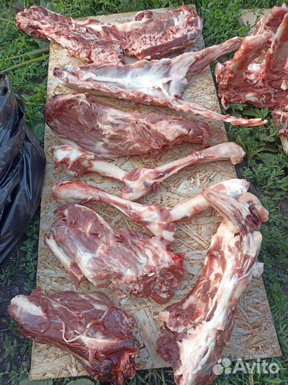 Кости для собак