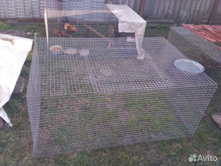 Клетка,уличный выгул,цеплятник,утятник