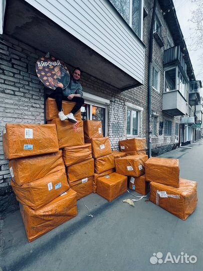 Чай Напрямую из Китая, Оптом, Пуэр, Улун