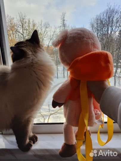 Плюшевый медведь 65см и Пятачок