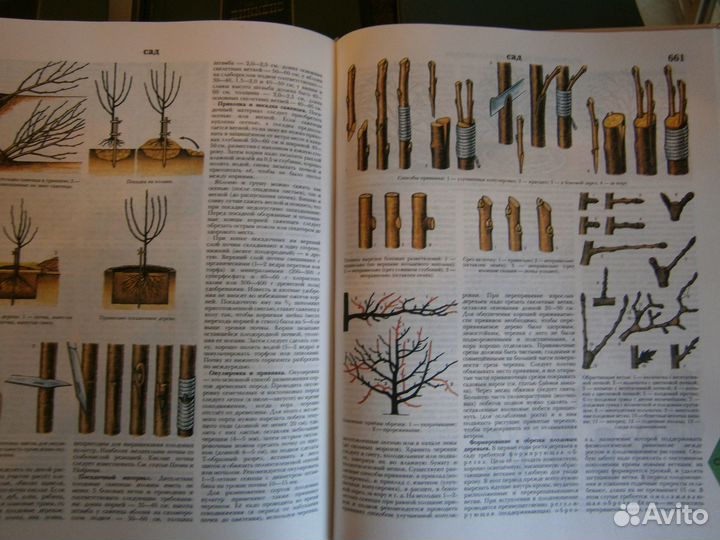 Энциклопедия домашнего хозяйства обо всём