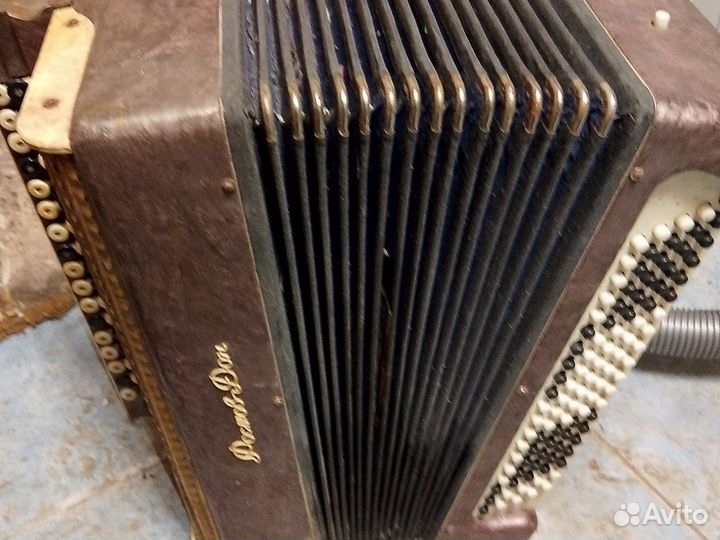 Баян Ростов Дон