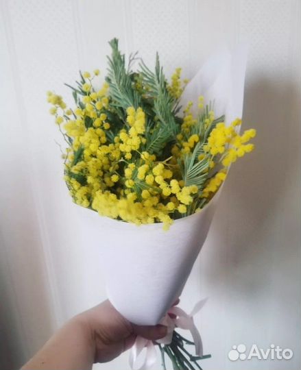 Итальянская мимоза на 8 марта