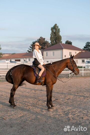 Прокат, Фотосессии, Персональные тренировки