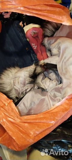 Огромный пакет вещей и обувь на девочку