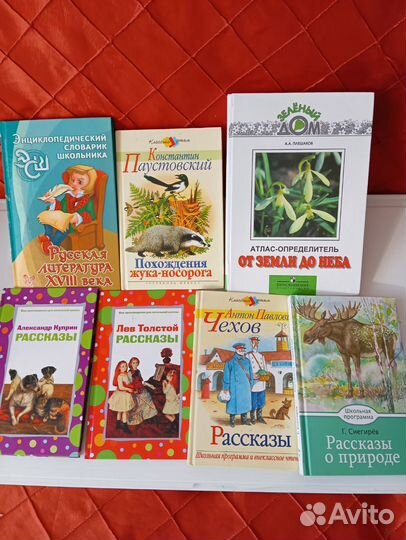 Школьная библиотека