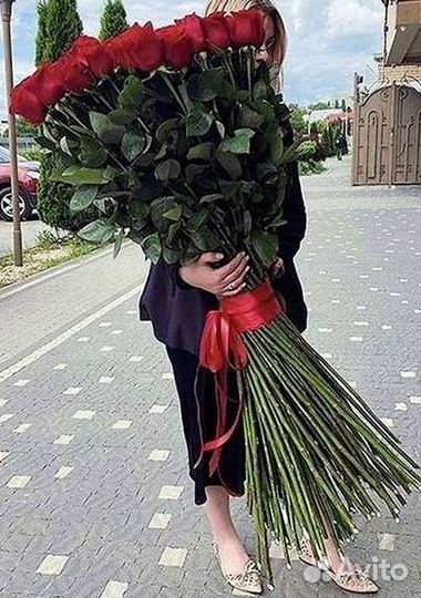 Розы гиганты 140 150 160 170 180 200