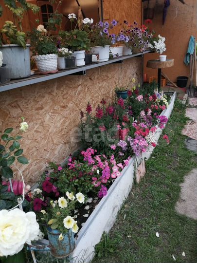 Дача 35 м² на участке 9 сот.