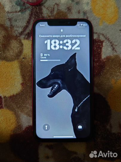 iPhone Xr, 64 ГБ