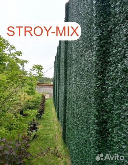 Зеленый забор (Калифорнийская изгородь)