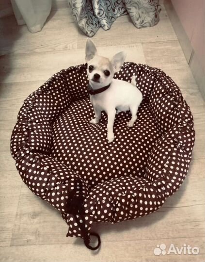 Лежанки (новые)