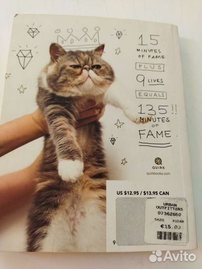 How to make your Cat an internet Celebrity