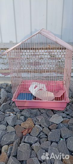 Клетка для хомяка