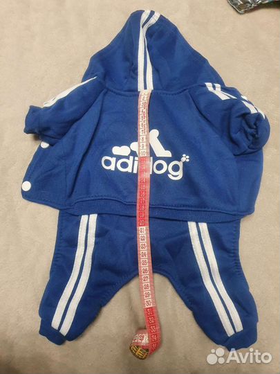 Одежда для маленьких собак