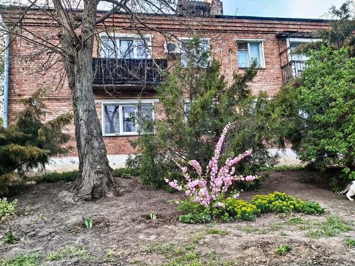 3-к. квартира, 43,5 м², 1/2 эт.