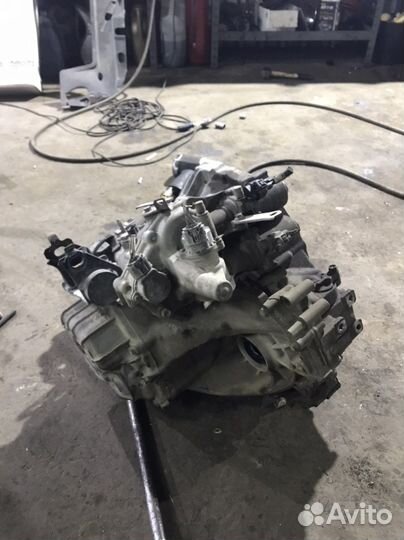 Ркпп auris, corolla 150