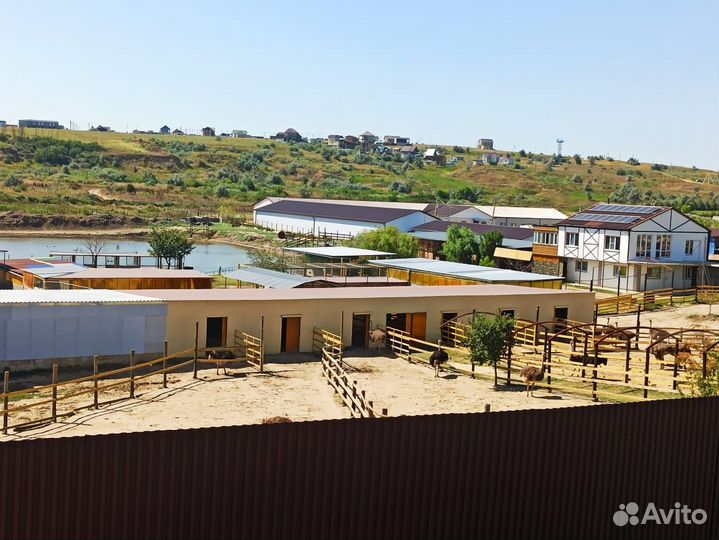 Усадьба Зооуголок