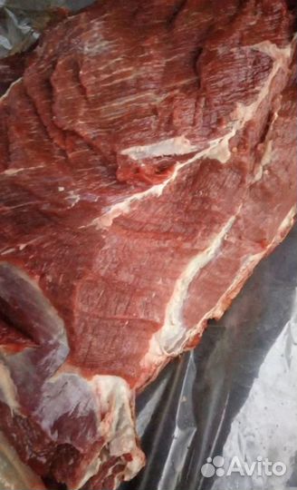 Мясо, кости для собак