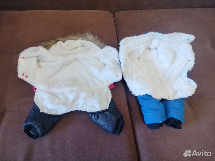 Одежда для маленьких собак/кошек