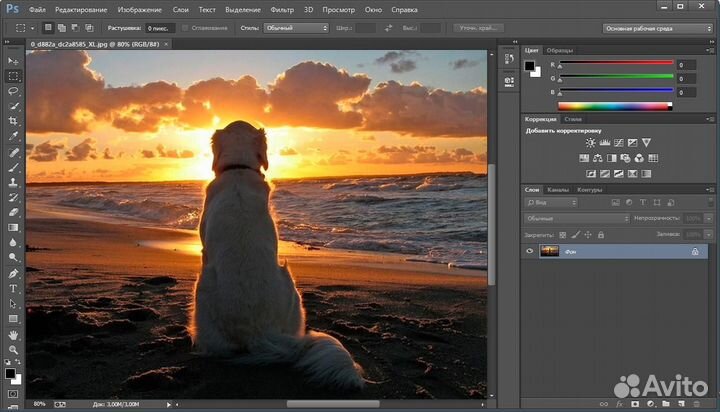Adobe Photoshop 2024 Бессрочный