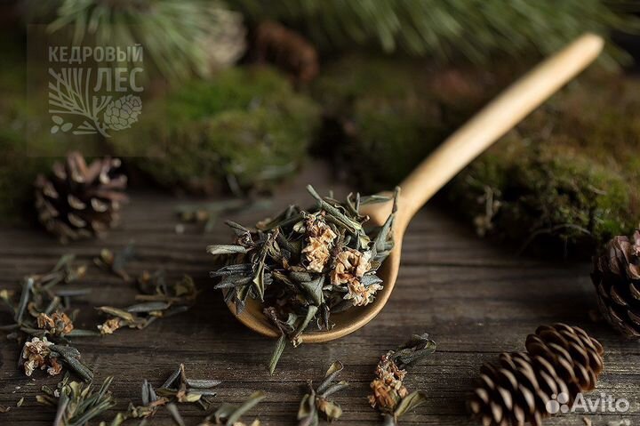 Саган-дайля