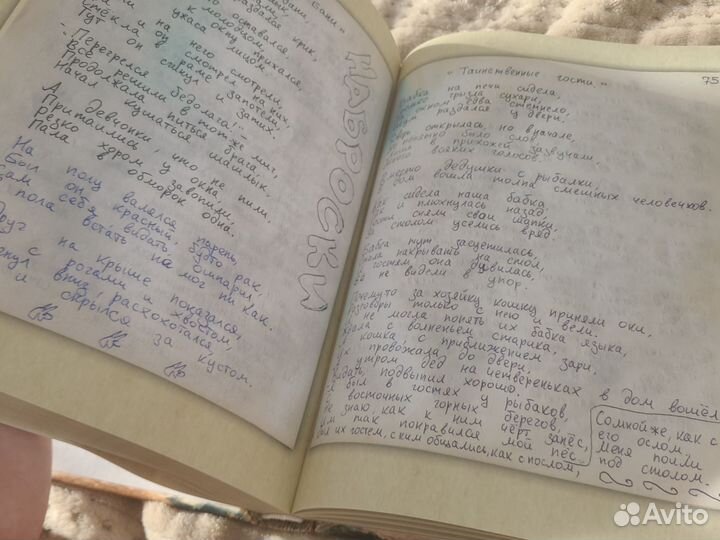 Король и шут книга